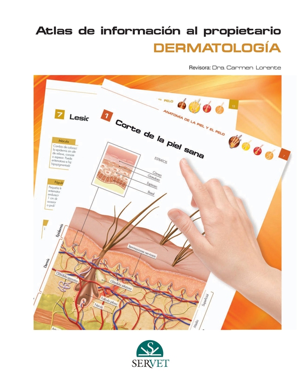 Atlas de información al propietario. Dermatología - Librerie.coop Atlas de información al propietario. Dermatología - Librerie.coop