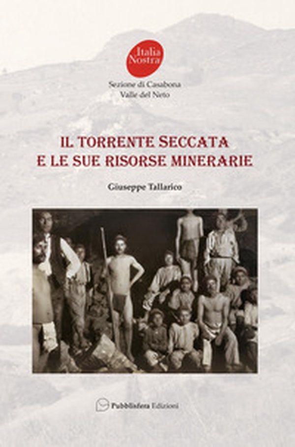 Il torrente Seccata e le sue risorse minerarie - Librerie.coop Il torrente Seccata e le sue risorse minerarie - Librerie.coop