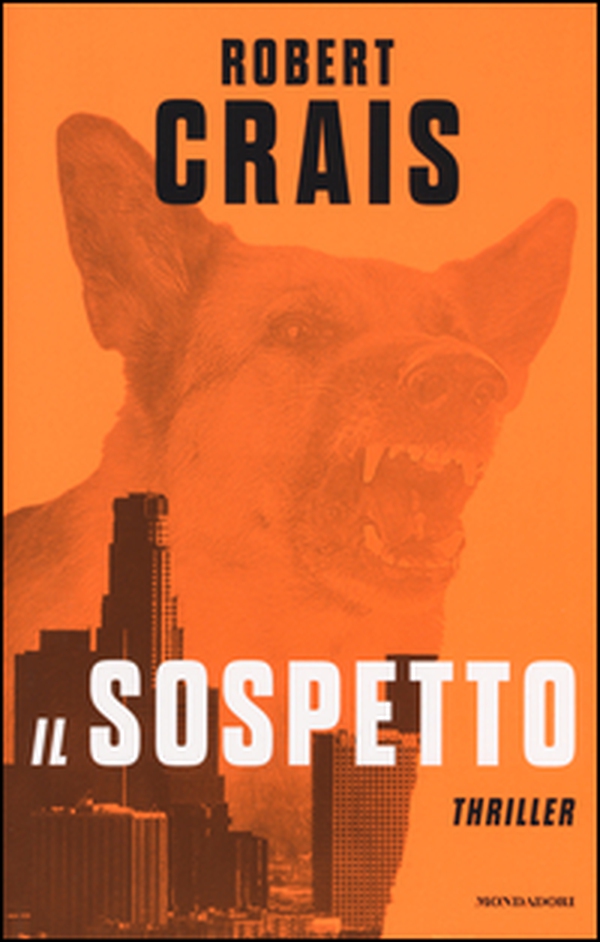 Il sospetto - Librerie.coop Il sospetto - Librerie.coop