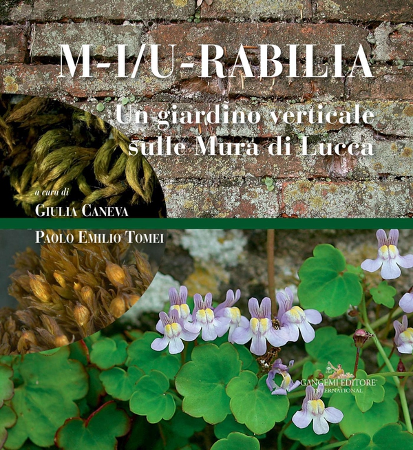 Un giardino verticale sulle Mura di Lucca - Librerie.coop Un giardino verticale sulle Mura di Lucca - Librerie.coop