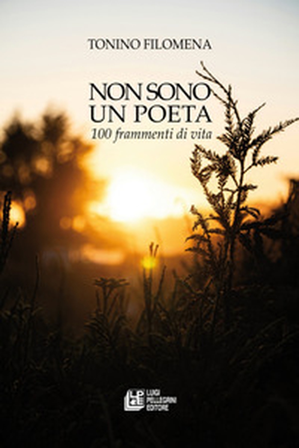 Non sono un poeta. 100 frammenti di vita - Librerie.coop Non sono un poeta. 100 frammenti di vita - Librerie.coop