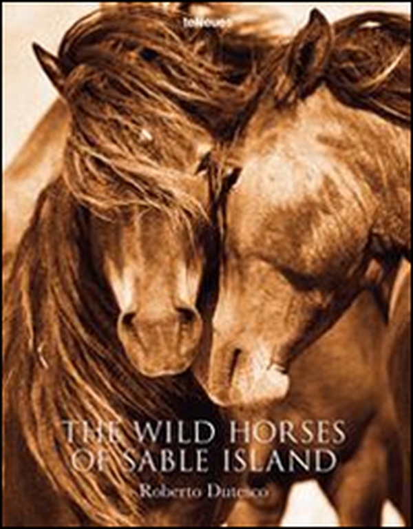 The wild horses of sable islands - Librerie.coop The wild horses of sable islands - Librerie.coop