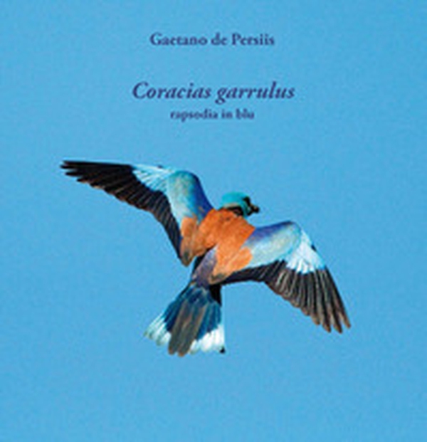 Coracias garrulus. Rapsodia in blu - Librerie.coop Coracias garrulus. Rapsodia in blu - Librerie.coop