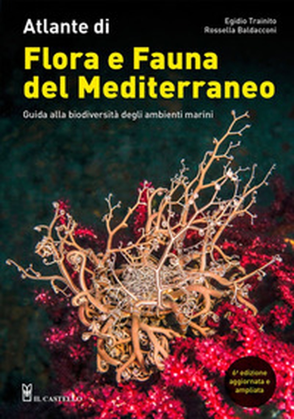 Atlante di flora e fauna del Mediterraneo. Guida alla biodiversità degli ambienti marini - Librerie.coop Atlante di flora e fauna del Mediterraneo. Guida alla biodiversità degli ambienti marini - Librerie.coop