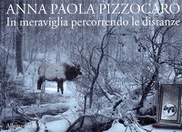 Anna Paola Pizzocaro. In meraviglia percorrendo le distanze. Ediz. italiana e inglese - Librerie.coop Anna Paola Pizzocaro. In meraviglia percorrendo le distanze. Ediz. italiana e inglese - Librerie.coop