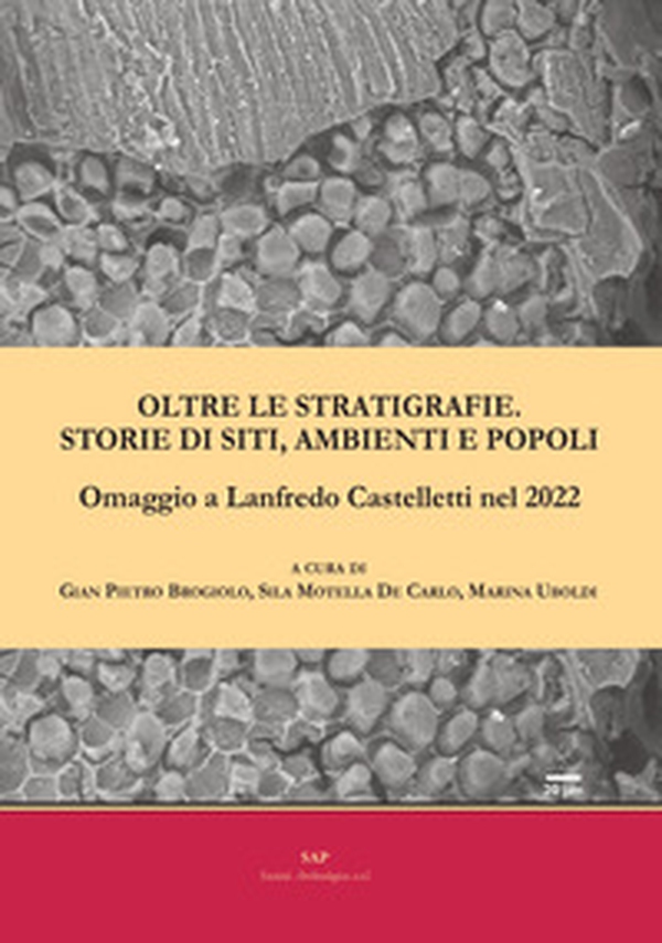 Oltre le stratigrafie. Storie di siti, ambienti e popoli. Omaggio a Lanfredo Castelletti nel 2022 - Librerie.coop Oltre le stratigrafie. Storie di siti, ambienti e popoli. Omaggio a Lanfredo Castelletti nel 2022 - Librerie.coop