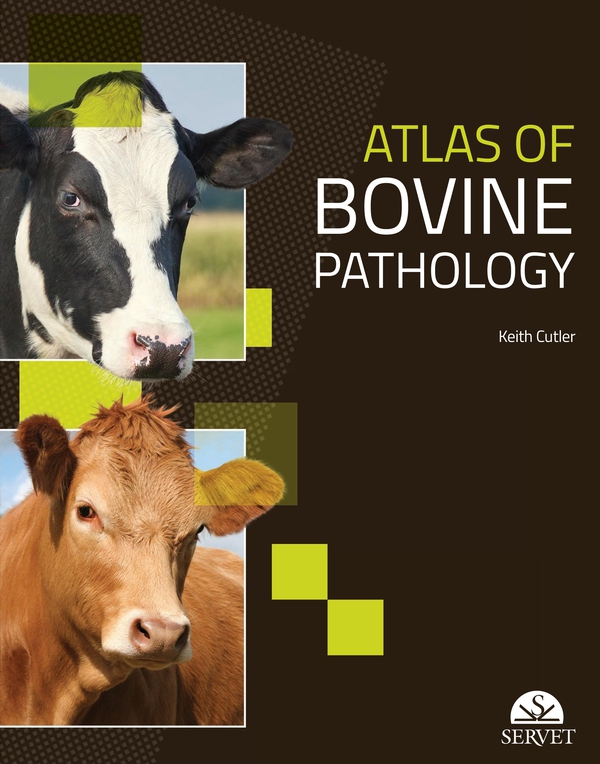Atlas of bovine pathology - Librerie.coop Atlas of bovine pathology - Librerie.coop