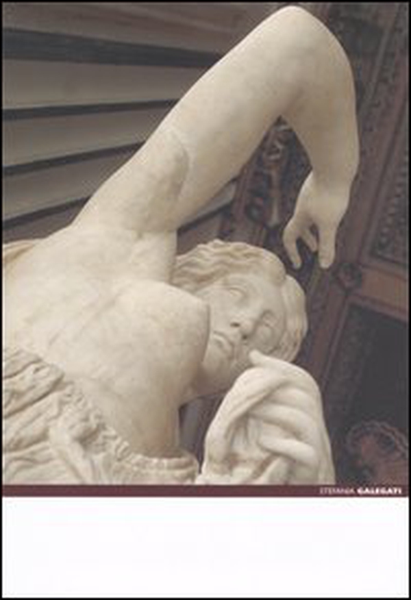 Stefania Galegati. Catalogo della mostra (Roma, 8 giugno-18 settembre 2005). Ediz. italiana e inglese - Librerie.coop Stefania Galegati. Catalogo della mostra (Roma, 8 giugno-18 settembre 2005). Ediz. italiana e inglese - Librerie.coop