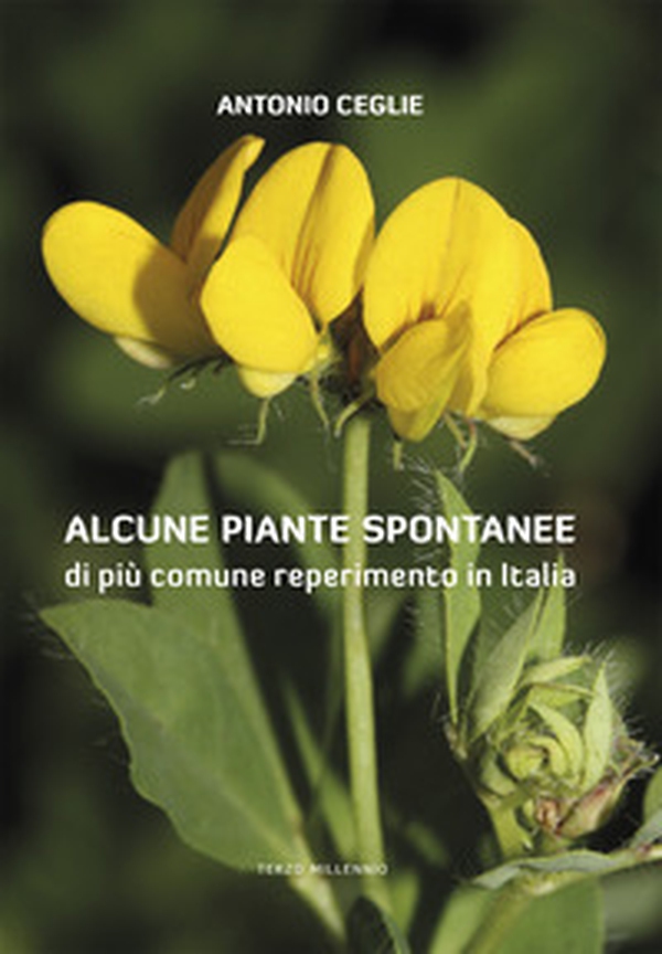 Alcune piante spontanee di più comune reperimento in Italia - Librerie.coop Alcune piante spontanee di più comune reperimento in Italia - Librerie.coop