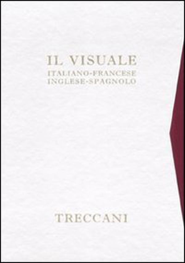 Il visuale. Italiano, francese, inglese e spagnolo - Librerie.coop Il visuale. Italiano, francese, inglese e spagnolo - Librerie.coop
