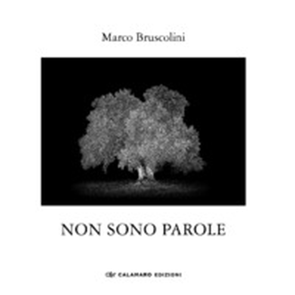 Non sono parole. Quasi un rifugio dall'ansia della xylella - Librerie.coop Non sono parole. Quasi un rifugio dall'ansia della xylella - Librerie.coop