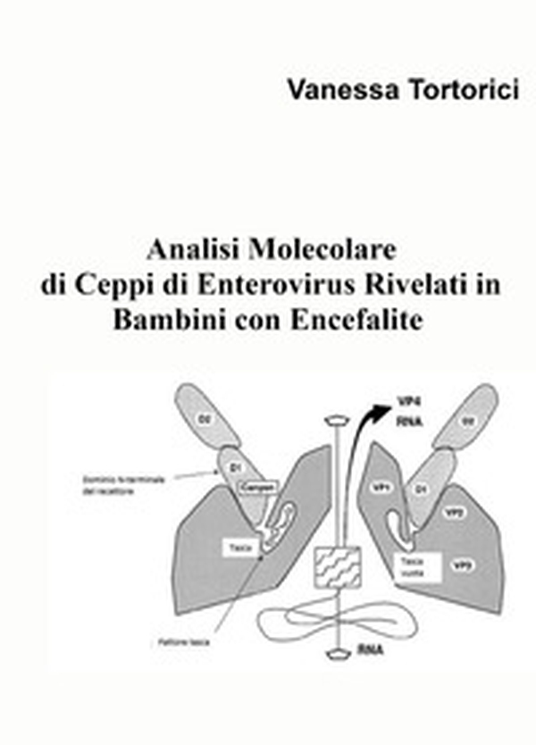 Analisi molecolare di ceppi di enterovirus rivelati in bambini con encefalite - Librerie.coop Analisi molecolare di ceppi di enterovirus rivelati in bambini con encefalite - Librerie.coop