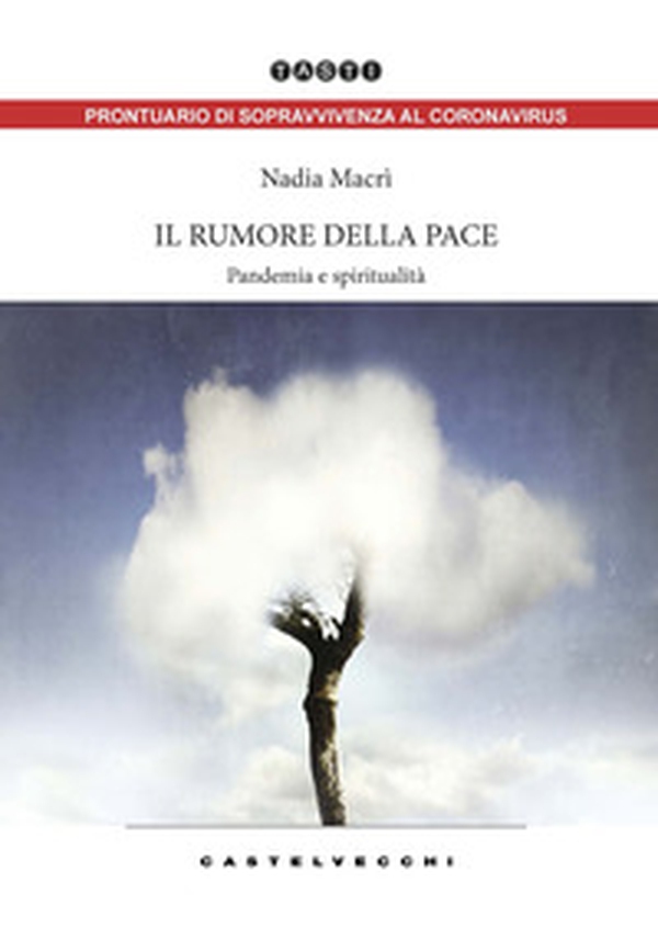 Il rumore della pace. Pandemia e spiritualità - Librerie.coop Il rumore della pace. Pandemia e spiritualità - Librerie.coop