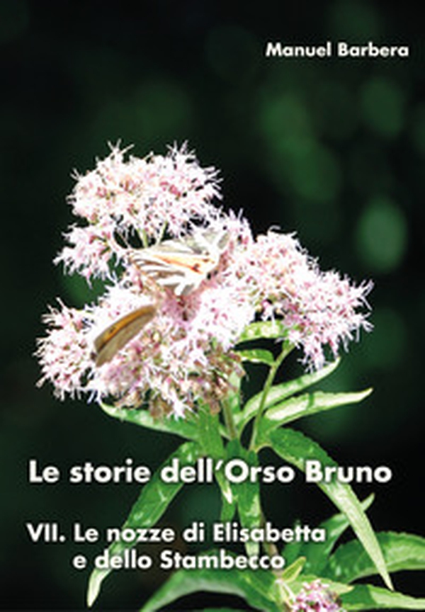 Le nozze di Elisabetta e dello stambecco. Le storie dell'orso bruno - Librerie.coop Le nozze di Elisabetta e dello stambecco. Le storie dell'orso bruno - Librerie.coop