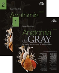 Anatomia del Gray. Le basi anatomiche per la pratica clinica - Librerie.coop