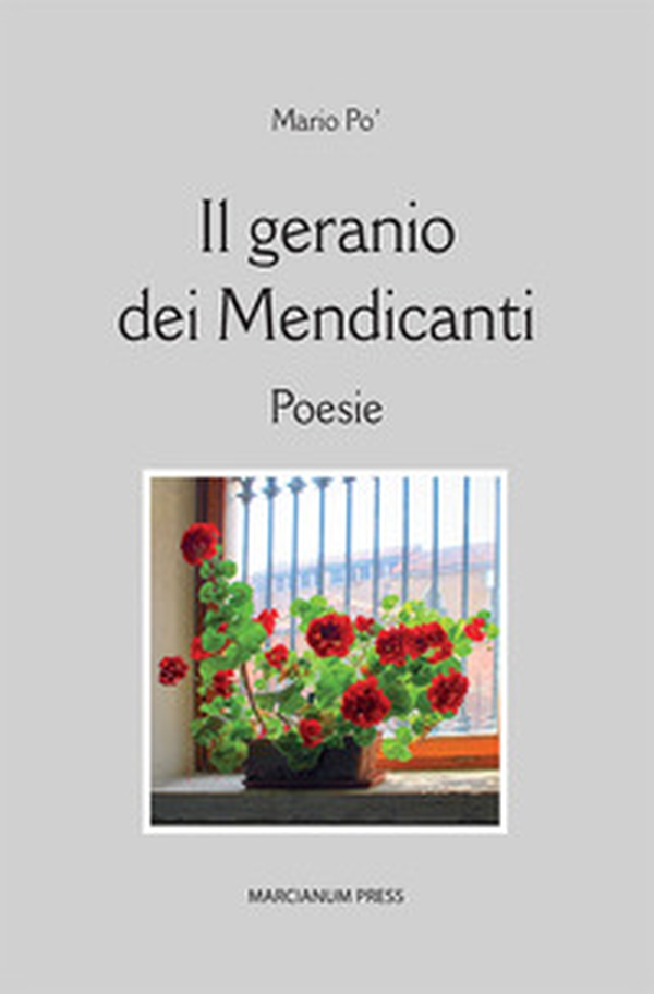 Il geranio dei mendicanti - Librerie.coop Il geranio dei mendicanti - Librerie.coop