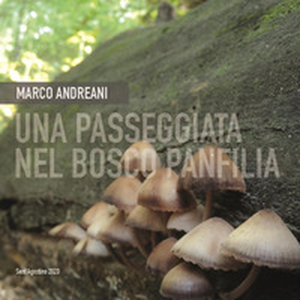 Una passeggiata nel bosco Panfilia - Librerie.coop Una passeggiata nel bosco Panfilia - Librerie.coop