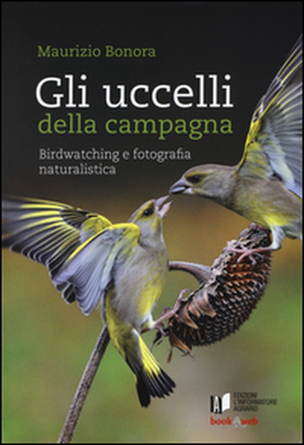 Gli uccelli della campagna. Birdwatching e fotografia naturalistica - Librerie.coop Gli uccelli della campagna. Birdwatching e fotografia naturalistica - Librerie.coop