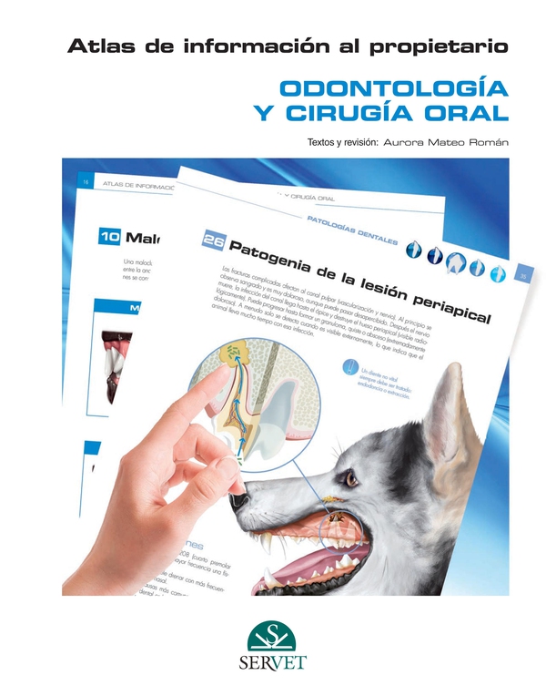 Atlas de información al propietario. Odontología y cirugia oral - Librerie.coop Atlas de información al propietario. Odontología y cirugia oral - Librerie.coop