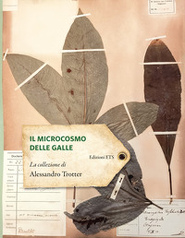 Il microcosmo delle galle. La collezione di Alessandro Trotter - Librerie.coop Il microcosmo delle galle. La collezione di Alessandro Trotter - Librerie.coop