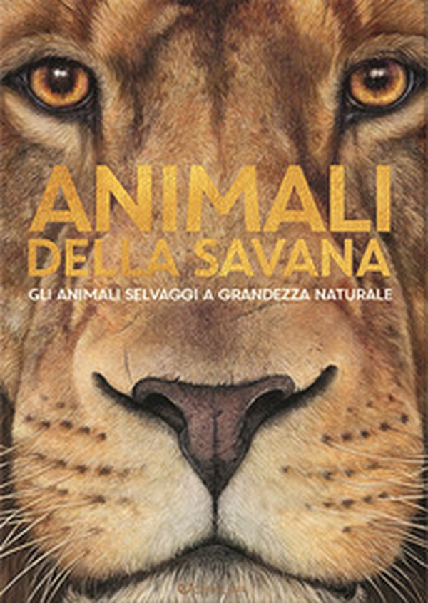 Animali della savana. Gli animali selvaggi a grandezza naturale - Librerie.coop Animali della savana. Gli animali selvaggi a grandezza naturale - Librerie.coop