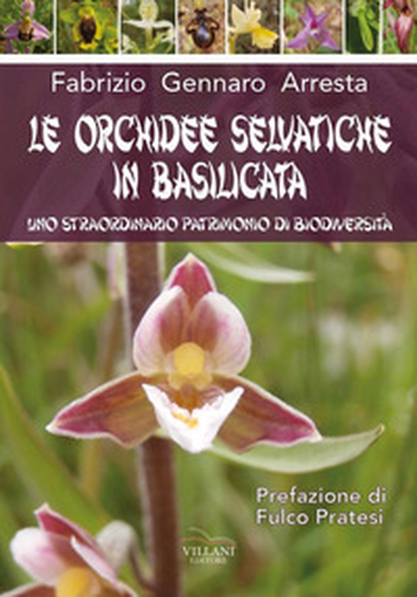 Le orchidee selvatiche in Basilicata - Librerie.coop Le orchidee selvatiche in Basilicata - Librerie.coop