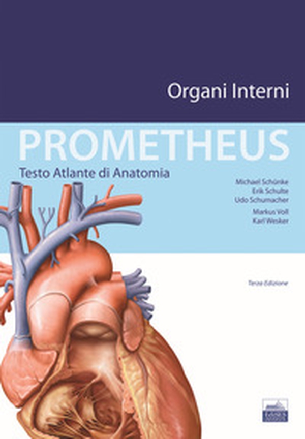 Prometheus. Testo atlante di anatomia. Organi interni - Librerie.coop Prometheus. Testo atlante di anatomia. Organi interni - Librerie.coop