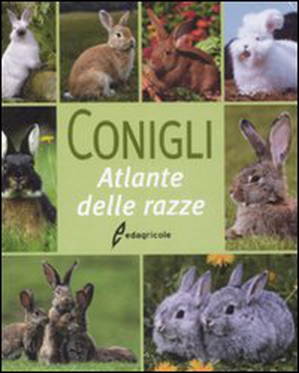 Conigli. Atlante delle razze - Librerie.coop Conigli. Atlante delle razze - Librerie.coop