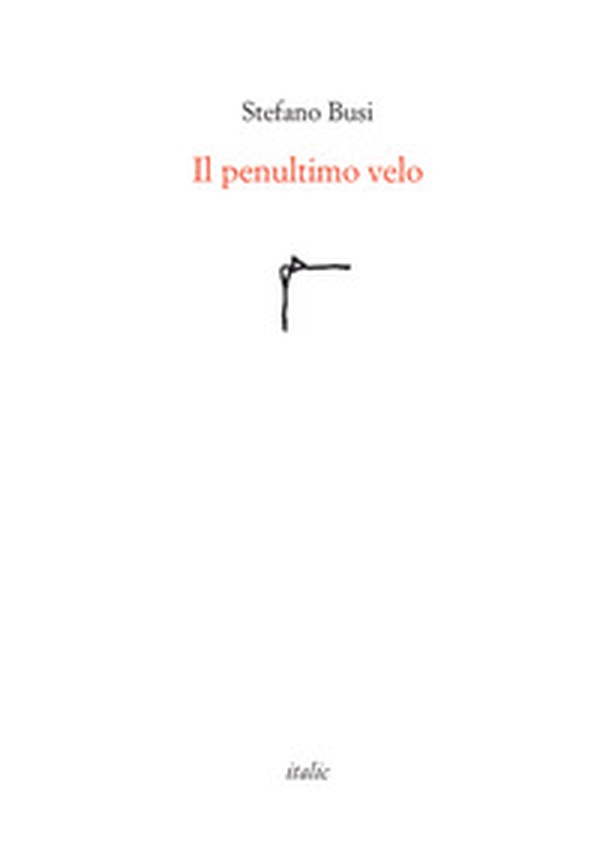 Il penultimo velo - Librerie.coop Il penultimo velo - Librerie.coop