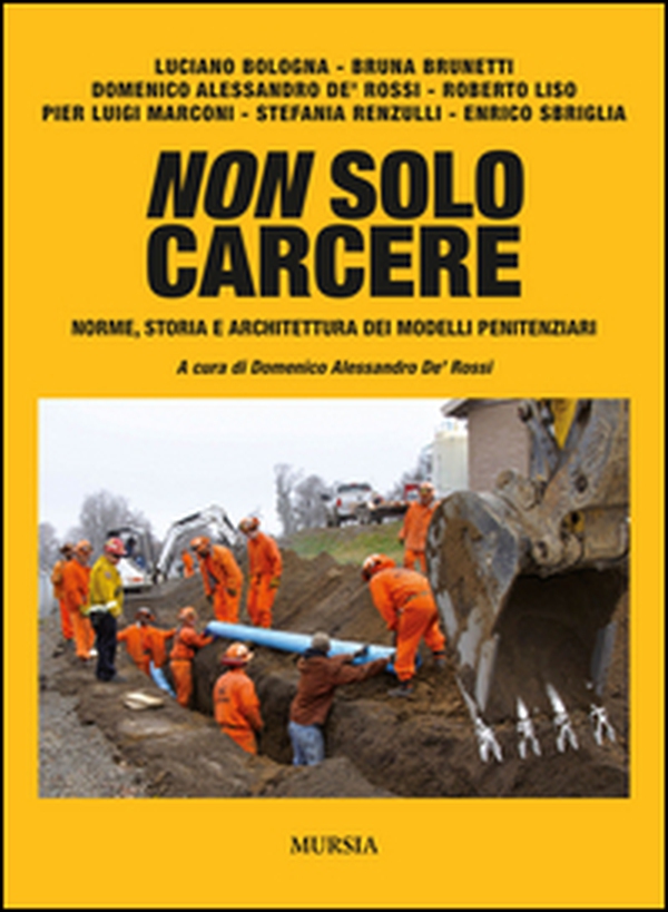 Non solo carcere. Norme, storia e architettura dei modelli penitenziari - Librerie.coop Non solo carcere. Norme, storia e architettura dei modelli penitenziari - Librerie.coop