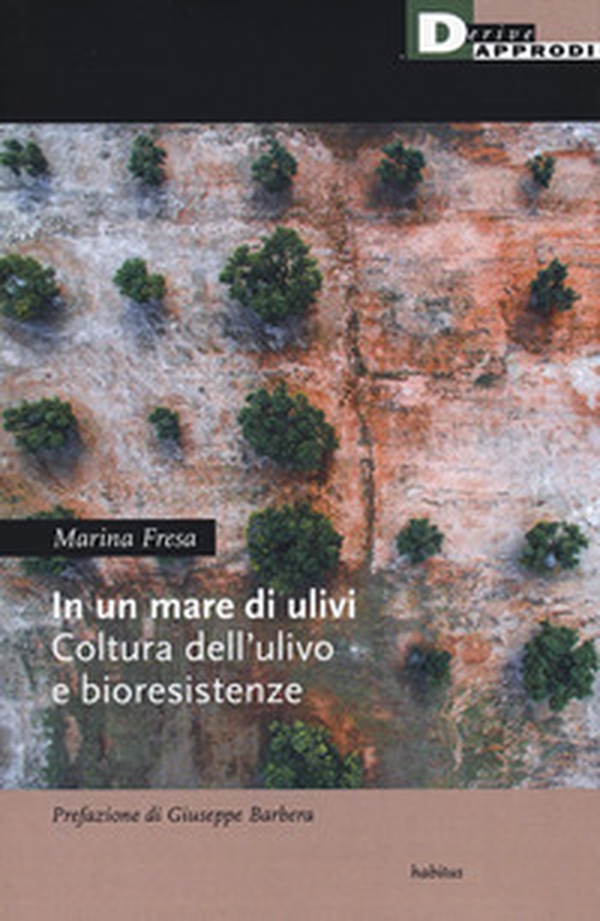 In un mare di ulivi. Cultura dell'ulivo e bioresistenze - Librerie.coop In un mare di ulivi. Cultura dell'ulivo e bioresistenze - Librerie.coop