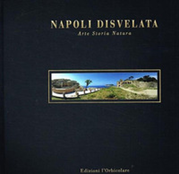 Napoli disvelata. Arte, storia, natura. Ediz. italiana e inglese - Librerie.coop Napoli disvelata. Arte, storia, natura. Ediz. italiana e inglese - Librerie.coop