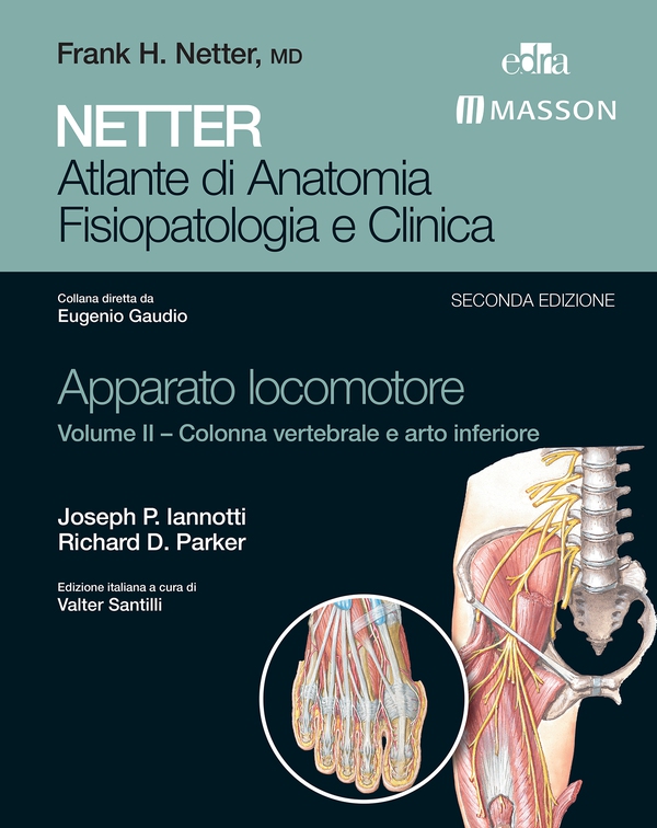 NETTER Atlante di Anatomia Fisiopatologie e Clinica: Apparato Locomotore. Volume II – Colonna Vertebrale e Arto Inferiore - Guid - Librerie.coop NETTER Atlante di Anatomia Fisiopatologie e Clinica: Apparato Locomotore. Volume II – Colonna Vertebrale e Arto Inferiore - Guid - Librerie.coop