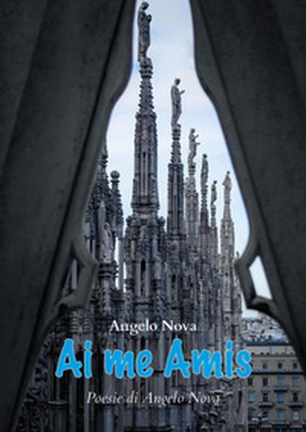 Ai me amis - Librerie.coop Ai me amis - Librerie.coop
