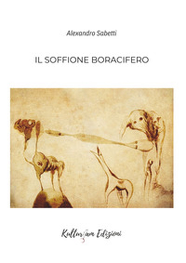 Il soffione boracifero - Librerie.coop Il soffione boracifero - Librerie.coop