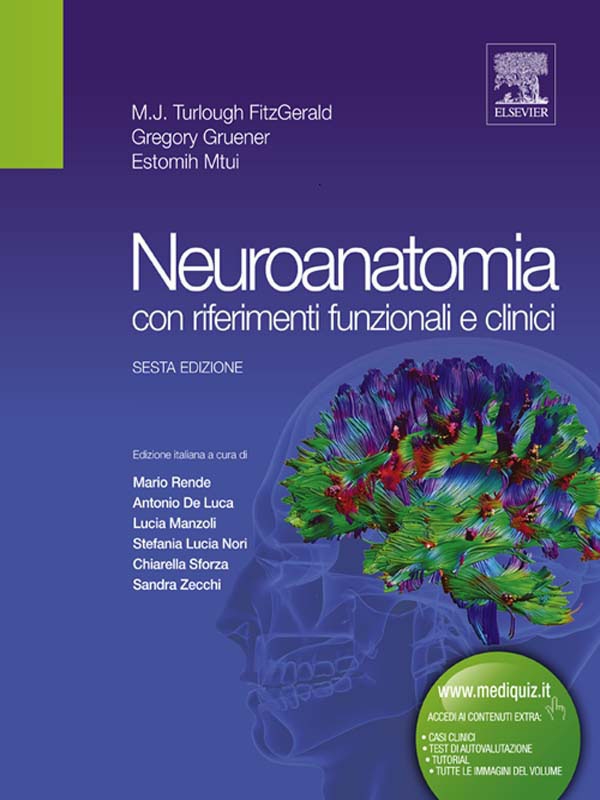 Neuroanatomia con riferimenti funzionali e clinici - Librerie.coop Neuroanatomia con riferimenti funzionali e clinici - Librerie.coop
