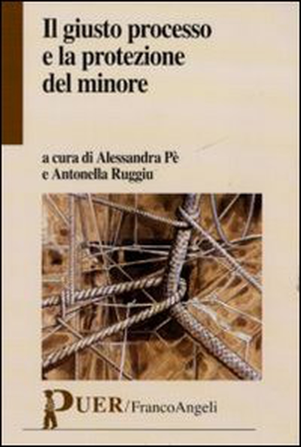 Il giusto processo e la protezione del minore - Librerie.coop Il giusto processo e la protezione del minore - Librerie.coop