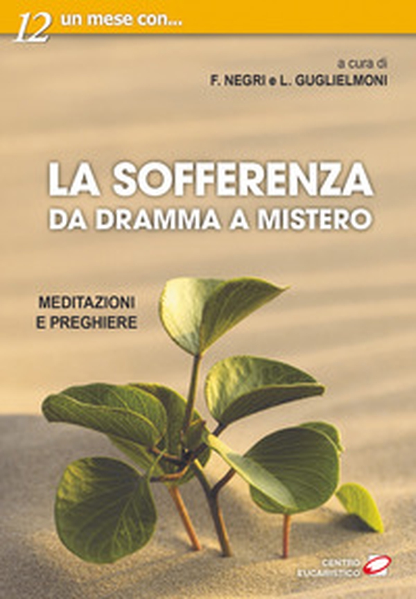 La sofferenza. Da dramma a mistero. Meditazioni e preghiere - Librerie.coop La sofferenza. Da dramma a mistero. Meditazioni e preghiere - Librerie.coop