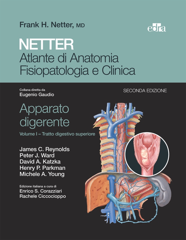 NETTER Atlante di anatomia fisiopatologia e clinica: Apparato digerente 1 - Librerie.coop NETTER Atlante di anatomia fisiopatologia e clinica: Apparato digerente 1 - Librerie.coop