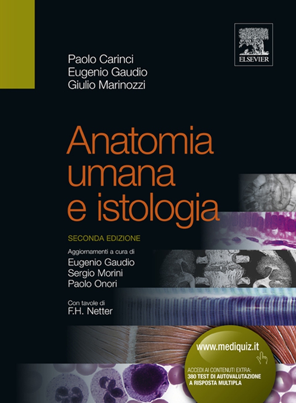 Anatomia umana e istologia - Librerie.coop Anatomia umana e istologia - Librerie.coop