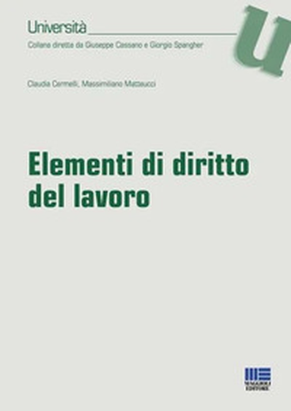 Elementi di diritto del lavoro - Librerie.coop Elementi di diritto del lavoro - Librerie.coop