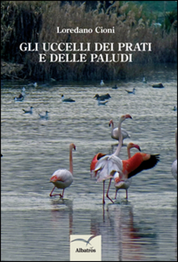 Gli uccelli dei prati e delle paludi - Librerie.coop Gli uccelli dei prati e delle paludi - Librerie.coop