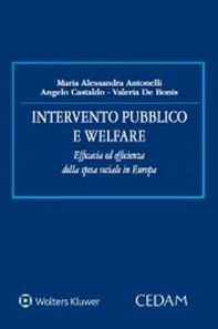 Intervento pubblico e welfare. Efficacia ed efficienza della spesa sociale in Europa - Librerie.coop