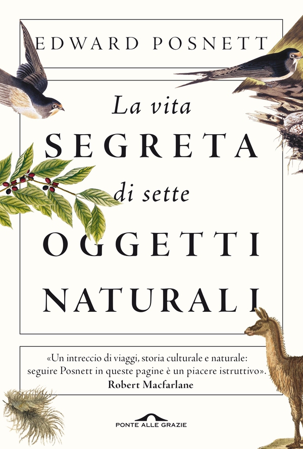 La vita segreta di sette oggetti naturali - Librerie.coop La vita segreta di sette oggetti naturali - Librerie.coop