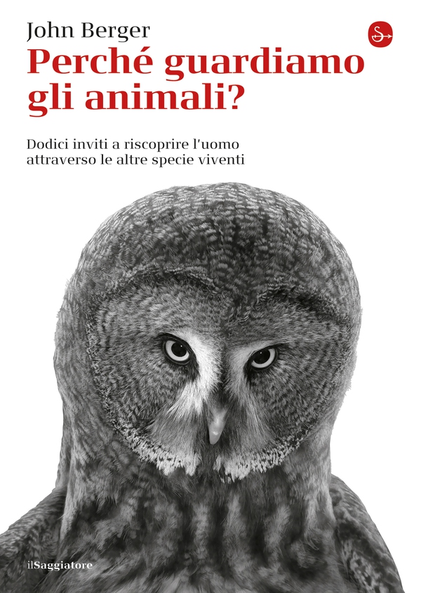 Perché guardiamo gli animali? - Librerie.coop Perché guardiamo gli animali? - Librerie.coop