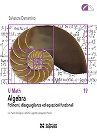Algebra. Polinomi, disuguaglianze ed equazioni funzionali - Librerie.coop