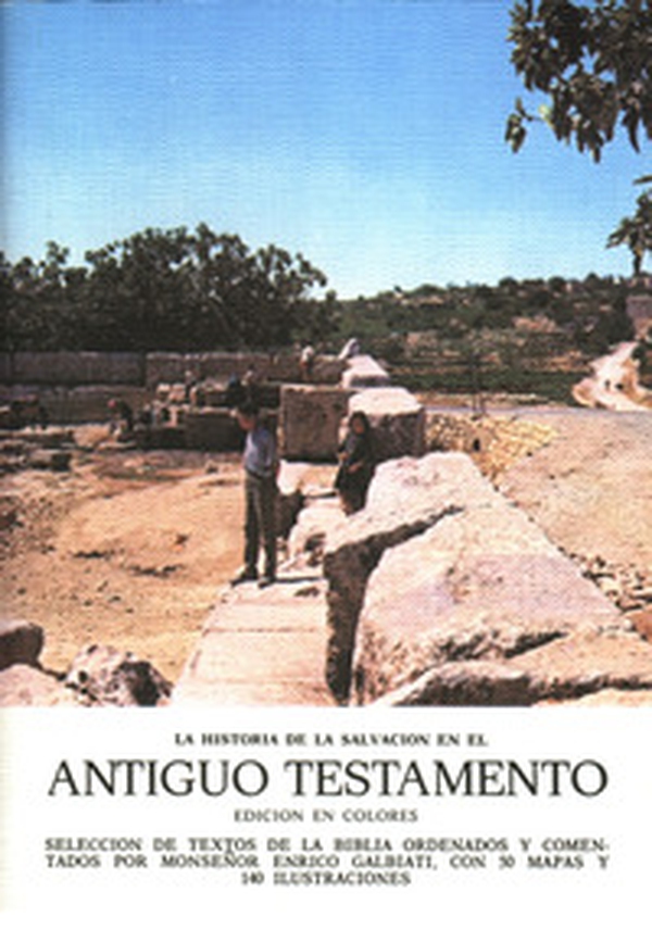 Antiguo Testamento. La historia de la salvacion - Librerie.coop Antiguo Testamento. La historia de la salvacion - Librerie.coop