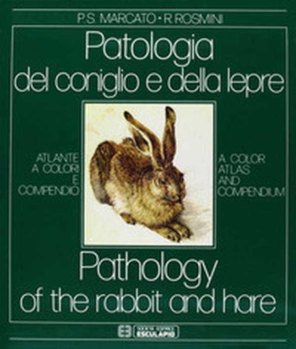 Patologia del coniglio e della lepre. Atlante a colori e compendio - Librerie.coop Patologia del coniglio e della lepre. Atlante a colori e compendio - Librerie.coop
