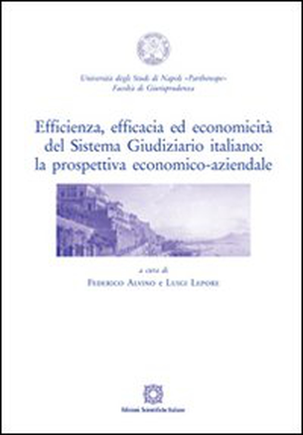 Efficienza, efficacia ed economicità del sistema giudiziario italiano. La prospettiva economico-aziendale - Librerie.coop Efficienza, efficacia ed economicità del sistema giudiziario italiano. La prospettiva economico-aziendale - Librerie.coop