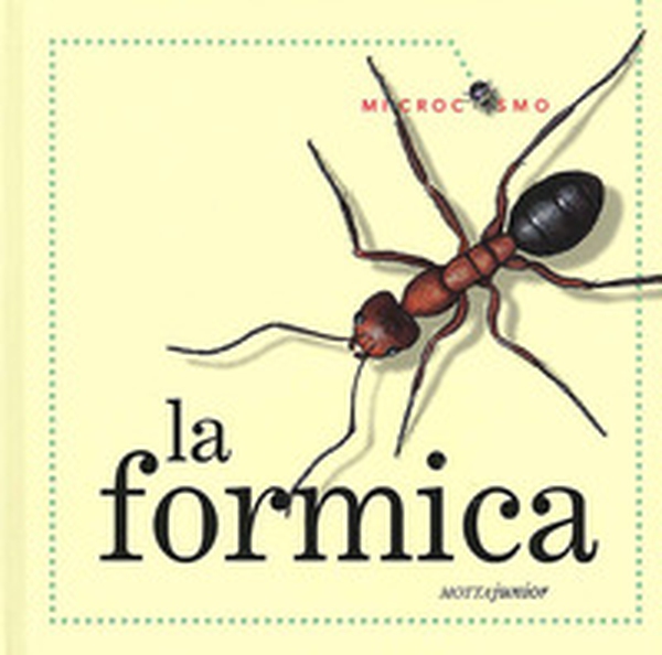 La formica - Librerie.coop La formica - Librerie.coop